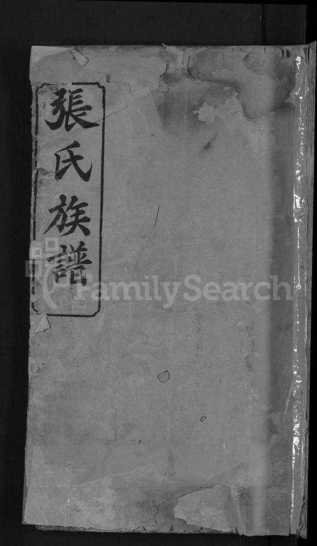 湖南张氏族谱-张氏族谱 [4卷,及卷首].pdf电子版缩略图