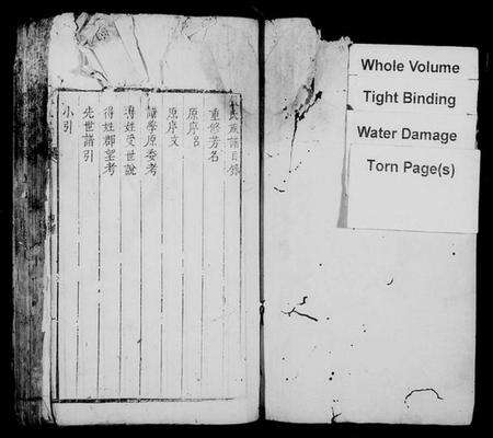 湖南张氏族谱-张氏族谱 [残卷].pdf电子版预览图2