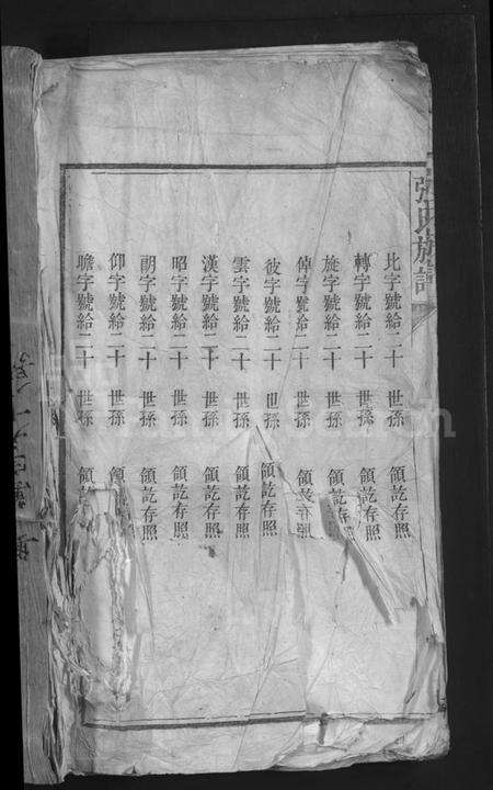 湖南张氏族谱-张氏族谱 [总卷数不详].pdf电子版预览图1