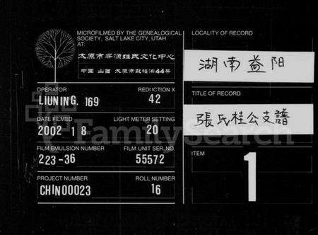 湖南张氏族谱-张氏桂公支谱 [17卷,首末各1卷].pdf电子版缩略图