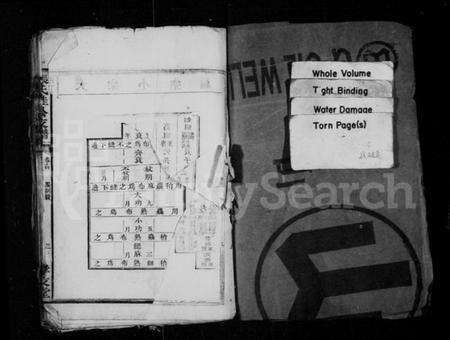 湖南张氏族谱-张氏桂公支谱 [17卷,首末各1卷].pdf电子版预览图3