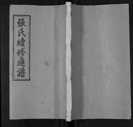 湖南张氏族谱-张氏续修统谱[12卷首末各1卷].pdf电子版缩略图