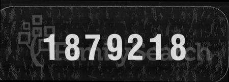 湖南张氏族谱-张氏续修通谱 [12卷,首尾各1卷].pdf电子版缩略图