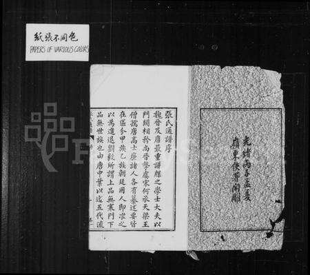 湖南张氏族谱-张氏通谱 [8卷].pdf电子版预览图2