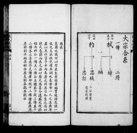 湖南张氏族谱-张氏通谱 [8卷].pdf电子版预览图4