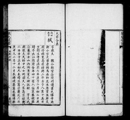 湖南张氏族谱-张氏通谱 [8卷].pdf电子版预览图5