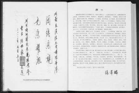 湖南张氏族谱-华夏张氏统谱南轩公世系一官公派下再发公房谱.pdf电子版预览图3