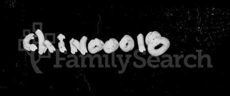 湖南张氏族谱-醴南楚东桥张氏家谱.pdf电子版预览图1