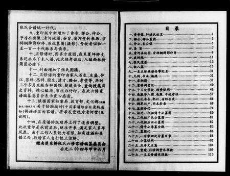 湖南张氏族谱-醴南楚东桥张氏家谱.pdf电子版预览图3