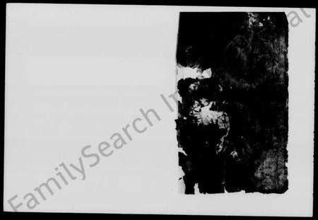 湖南张氏族谱-长沙碧湘张氏家谱 [18卷].pdf电子版预览图1