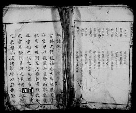 湖南张氏族谱-麦园张氏族谱 [4卷].pdf电子版预览图1