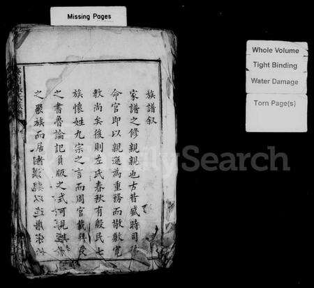 湖南张氏族谱-麦园张氏族谱 [4卷].pdf电子版预览图2