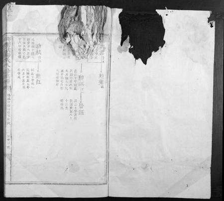 江西欧阳氏族谱-兴国欧阳氏八修族谱[不分卷].pdf电子版预览图1