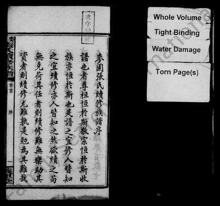 湖南张氏族谱-麦园张氏续修族谱 [11卷,首3卷].pdf电子版预览图4