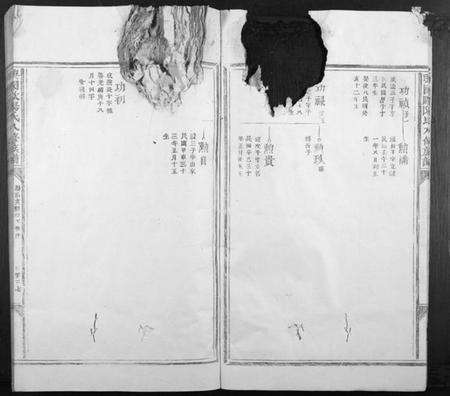 江西欧阳氏族谱-兴国欧阳氏八修族谱[不分卷].pdf电子版预览图5