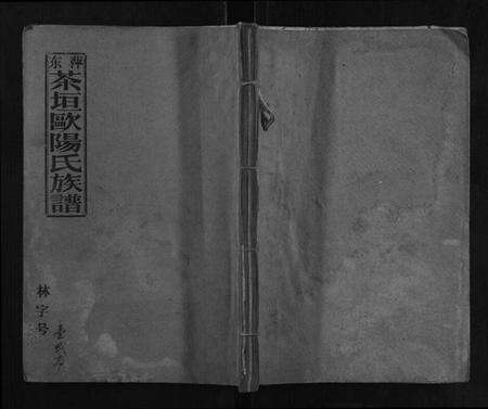 江西欧阳氏族谱-萍东茶垣欧阳族谱[10卷].pdf电子版缩略图