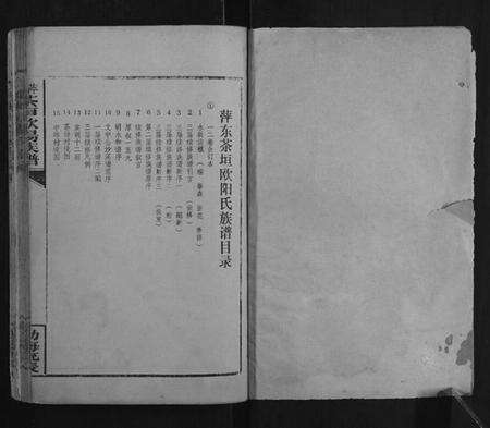 江西欧阳氏族谱-萍东茶垣欧阳族谱[10卷].pdf电子版预览图1