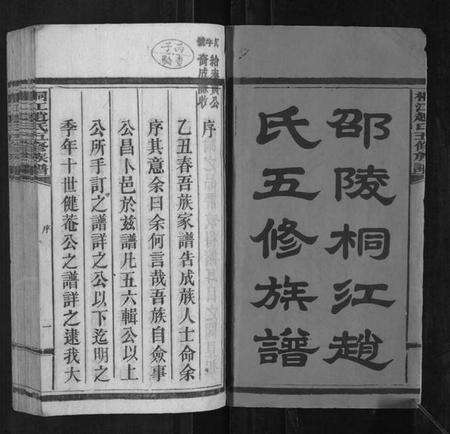 湖南赵氏族谱-桐江赵氏五修族谱[59卷首上下卷].pdf电子版预览图2