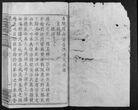 江西潘氏族谱-寻邬黄金潭潘氏五修族谱.pdf电子版预览图1