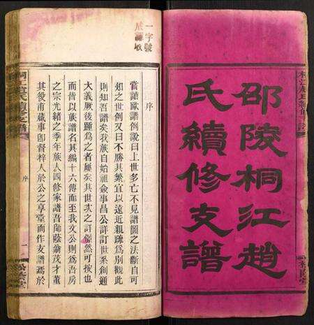 湖南赵氏族谱-桐江赵氏续修支谱.pdf电子版预览图2