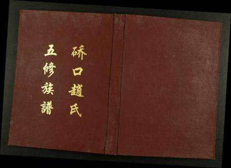 湖南赵氏族谱-桥口赵氏五修族谱.pdf电子版缩略图