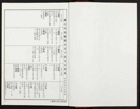 湖北刘氏族谱-竹江世系洪湖市珂理湾刘氏宗谱 [残卷].pdf电子版预览图4