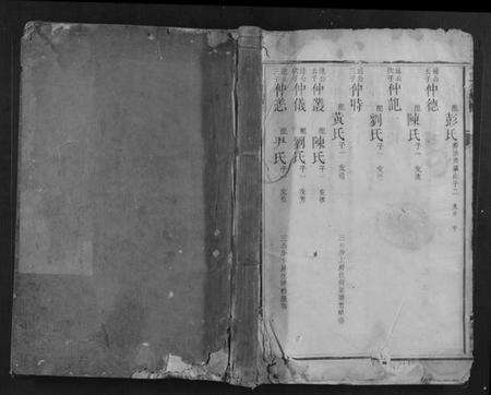 湖南赵氏族谱-赵氏族谱.pdf电子版缩略图