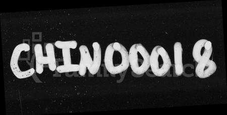 湖南郑氏族谱-郑氏支谱 [6卷].pdf电子版预览图1