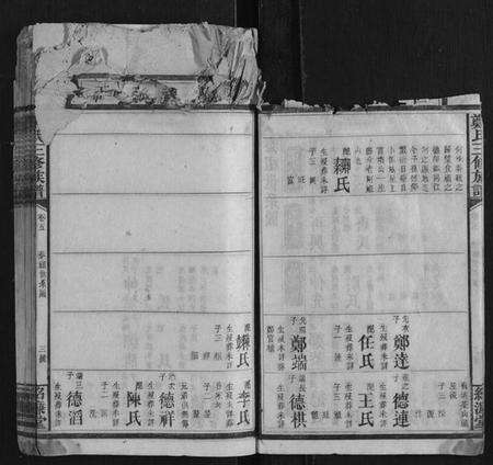 湖南郑氏族谱-郑氏三修族谱.pdf电子版预览图5