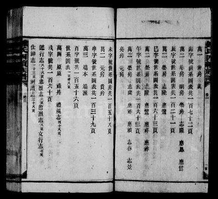 湖南锺氏族谱-锺氏四续族谱.pdf电子版预览图5