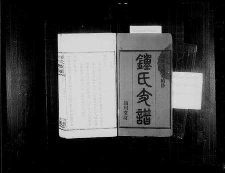 湖南锺氏族谱-锺氏支谱 [4卷].pdf电子版预览图2