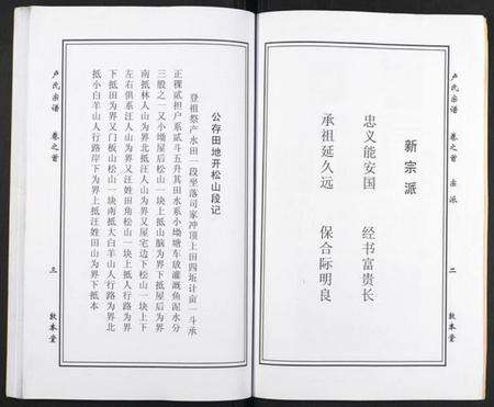 湖北卢氏族谱-卢氏宗谱.pdf电子版预览图4