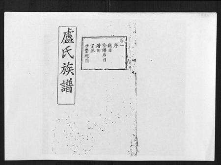 湖北卢氏族谱-卢氏族谱[20卷].pdf电子版缩略图