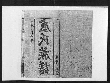 湖北卢氏族谱-卢氏族谱[20卷].pdf电子版预览图1