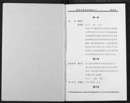 湖北芦孟氏族谱-卢孟氏宗谱.pdf电子版预览图4