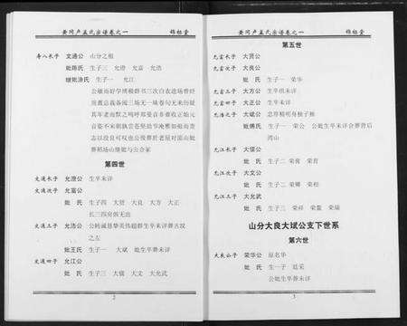 湖北芦孟氏族谱-卢孟氏宗谱.pdf电子版预览图5