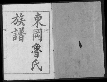 湖北鲁氏族谱-东冈鲁氏族谱.pdf电子版预览图1