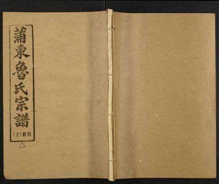 湖北鲁氏族谱-鲁氏宗谱.pdf电子版缩略图