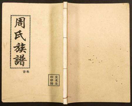 湖南周氏族谱-周氏宗谱.pdf电子版缩略图