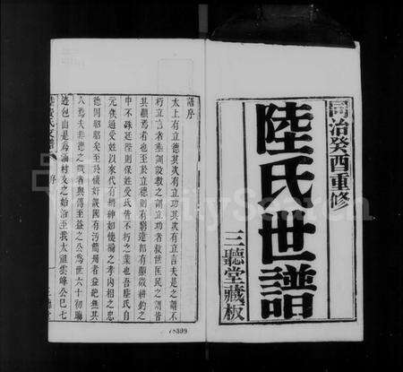 江苏陆氏族谱-陆氏世谱.pdf电子版预览图2