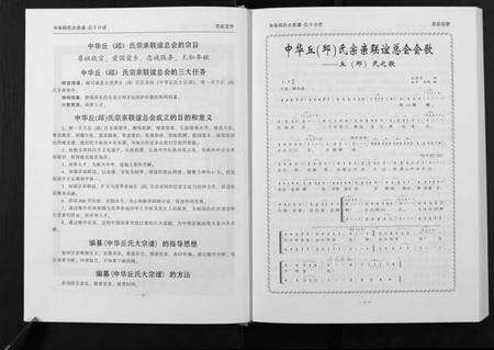 江西丘氏邱氏族谱-中华丘氏大宗谱.江西信丰分谱.pdf电子版预览图1