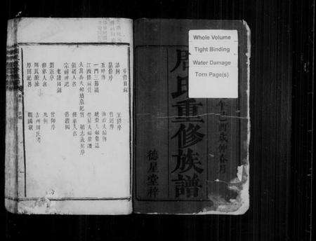 湖南周氏族谱-周氏重修族谱 [6卷,及卷首].pdf电子版预览图3