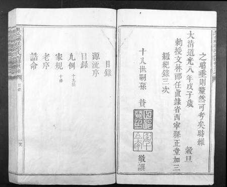 江西邱氏族谱-兴邑榔槎邱氏四修族谱[不分卷].pdf电子版预览图5