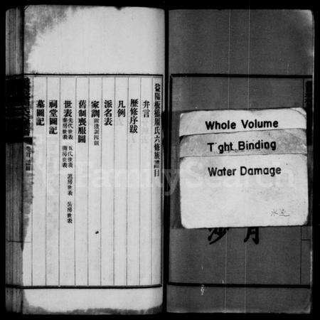 湖南周氏族谱-益阳板桥周氏六修族谱 [40卷,含首1卷].pdf电子版预览图4