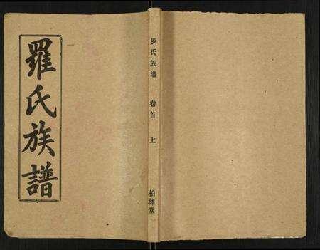 湖北罗氏族谱-罗氏族谱.pdf电子版缩略图