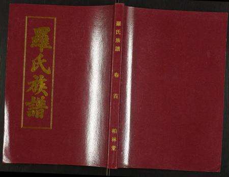 湖北罗氏族谱-罗氏族谱.pdf电子版缩略图