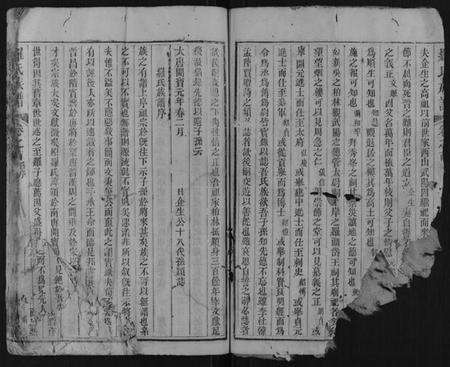 湖北罗氏族谱-罗氏族谱.pdf电子版预览图2