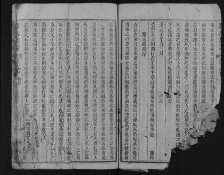 湖北罗氏族谱-罗氏族谱.pdf电子版预览图3