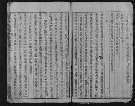 湖北罗氏族谱-罗氏族谱.pdf电子版预览图5