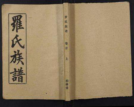 湖北罗氏族谱-罗氏族谱[18卷首2卷附1卷].pdf电子版缩略图